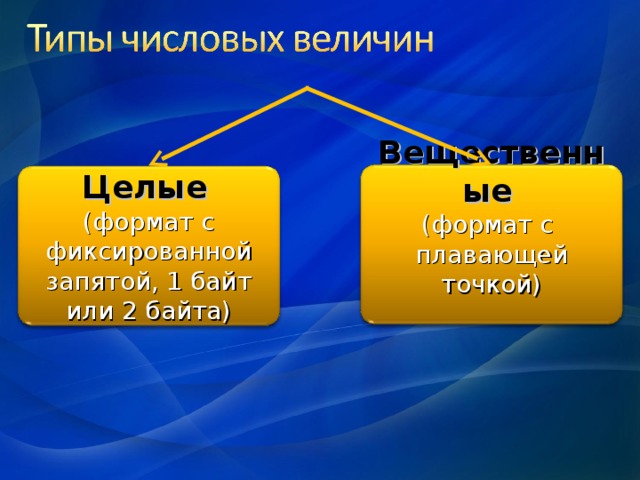 Вещественные  (формат с плавающей точкой) Целые  (формат с фиксированной запятой, 1 байт или 2 байта) 