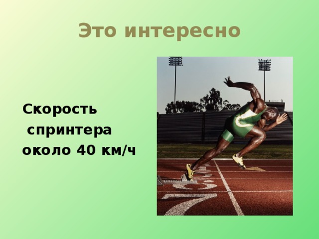 Это интересно Скорость  спринтера около 40 км/ч 