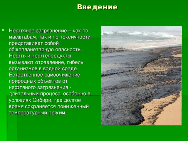 Проект загрязнение водной среды