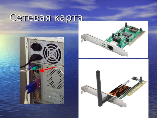 Тип физической среды кабеля с которой работает сетевая карта