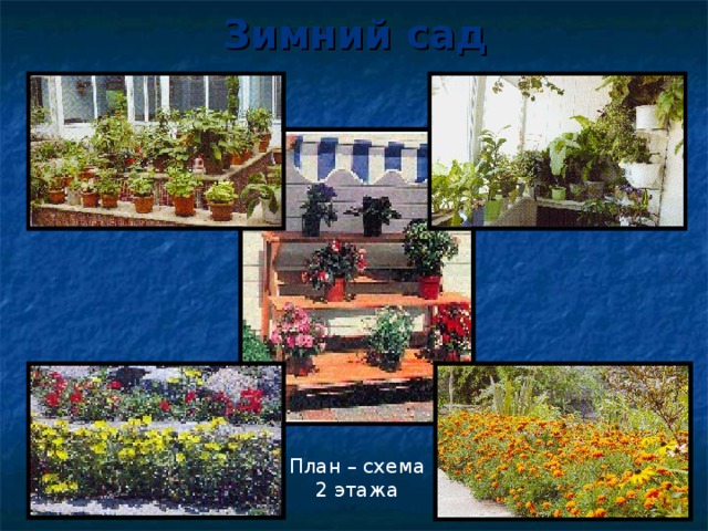 Зимний сад План – схема 2 этажа 