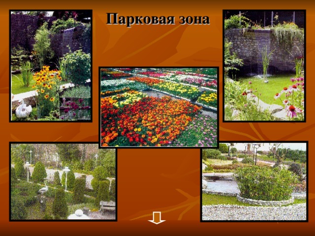 Парковая зона 