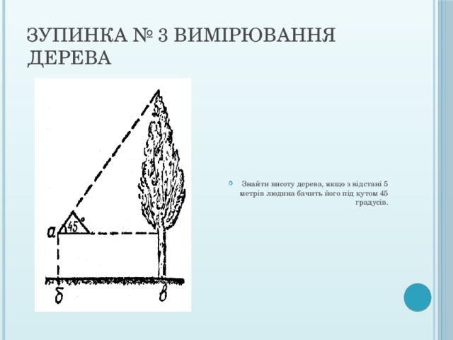 Зупинка № 3 Вимірювання дерева Знайти висоту дерева, якщо з відстані 5 метрів людина бачить його під кутом 45 градусів. 