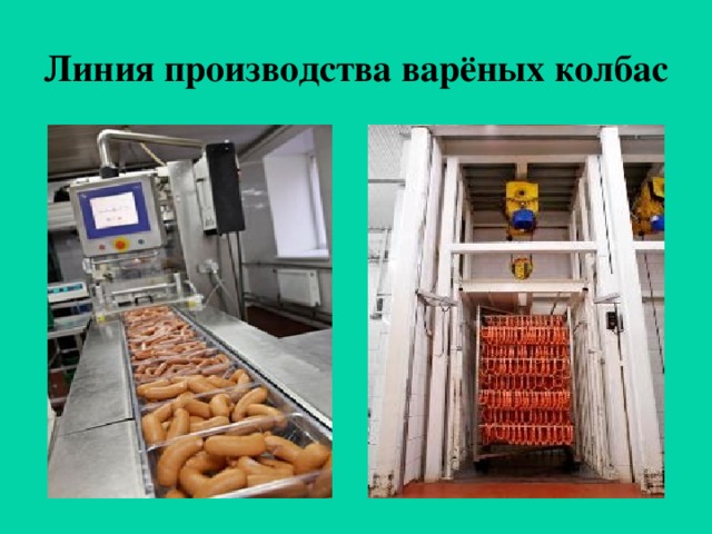 Бизнес план по производству колбасы