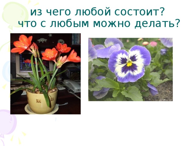 из чего любой состоит?  что с любым можно делать? 