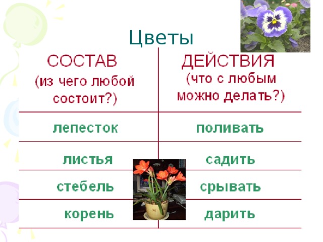 Цветы 
