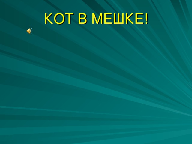 КОТ В МЕШКЕ! 