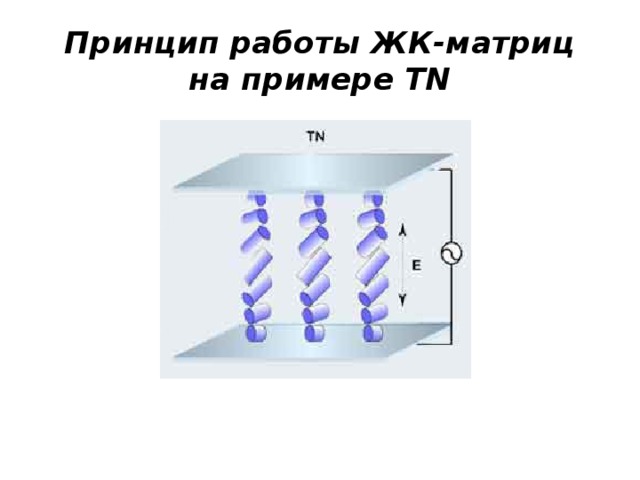 Принцип работы ЖК-матриц на примере TN 