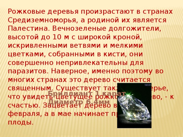 Рожковые деревья произрастают в странах Средиземноморья, а родиной их является Палестина. Вечнозеленые долгожители, высотой до 10 м с широкой кроной, искривленными ветвями и мелкими цветками, собранными в кисти, они совершенно непривлекательны для паразитов. Наверное, именно поэтому во многих странах это дерево считается священным. Существует также и поверье, что увидеть цветущее рожковое дерево, - к счастью. Зацветает дерево в конце февраля, а в мае начинает приносить плоды. Бриллиант 1 карат Диаметр 6.4мм 