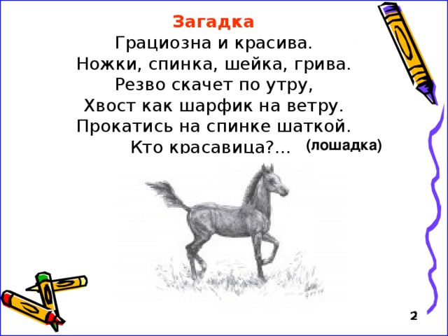 Загадка про байгу. Загадка про лошадь для детей. Загадка про единорога. Загадка про лошадку. Загадка про лошадку для детей.