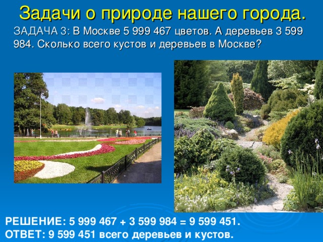 Задачи о природе нашего города.  ЗАДАЧА 3: В Москве 5 999 467 цветов. А деревьев 3 599 984. Сколько всего кустов и деревьев в Москве? РЕШЕНИЕ: 5 999 467 + 3 599 984 = 9 599 451. ОТВЕТ: 9 599 451 всего деревьев и кустов.  