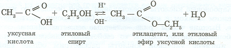 Гидролиз этилового эфира уксусной кислоты. Этилацетат из уксусной кислоты реакция.