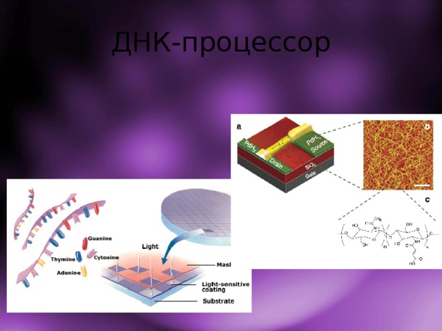 ДНК-процессор 