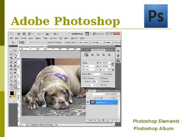 Adobe Photoshop Photoshop Elements Photoshop Album  