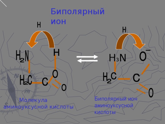 Биполярный ион H 3 N Биполярный ион аминоуксусной кислоты  Молекула  аминоуксусной кислоты 