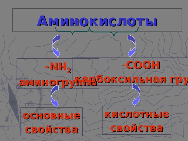 Аминокислоты СООН карбоксильная группа - NH 2 аминогруппа кислотные свойства основные свойства 