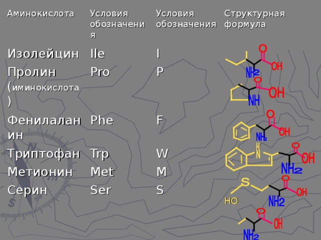 Аминокислота Условия обозначения Изолейцин Пролин ( иминокислота ) Ile Условия обозначения Pro Структурная формула I Фенилаланин P Phe Триптофан Trp Метионин F Серин Met W Ser M S НО 