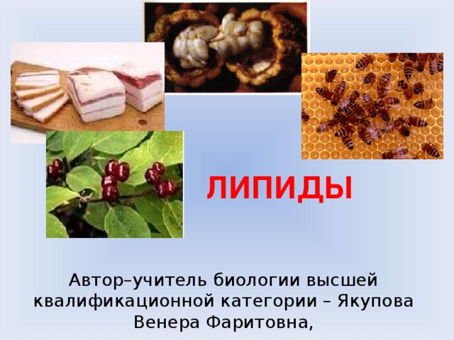  ЛИПИДЫ Автор–учитель биологии высшей квалификационной категории – Якупова Венера Фаритовна,  МАОУ «Гимназия № 139», г. Казань 