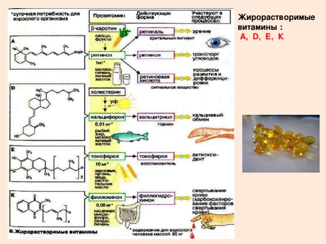 Жирорастворимые витамины :  А, D , Е, К 