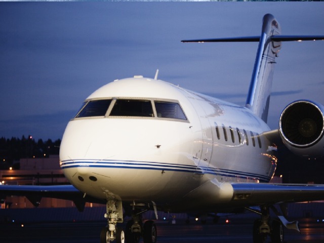 Быть источником звуковой информации Пение птиц Вой ветра Шум пылесоса  Голос диктора Плеск волны Рокот самолёта  