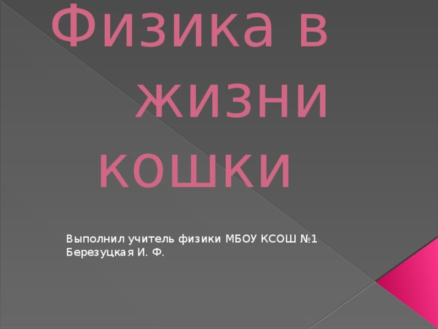   Физика в жизни кошки Выполнил учитель физики МБОУ КСОШ №1 Березуцкая И. Ф. 