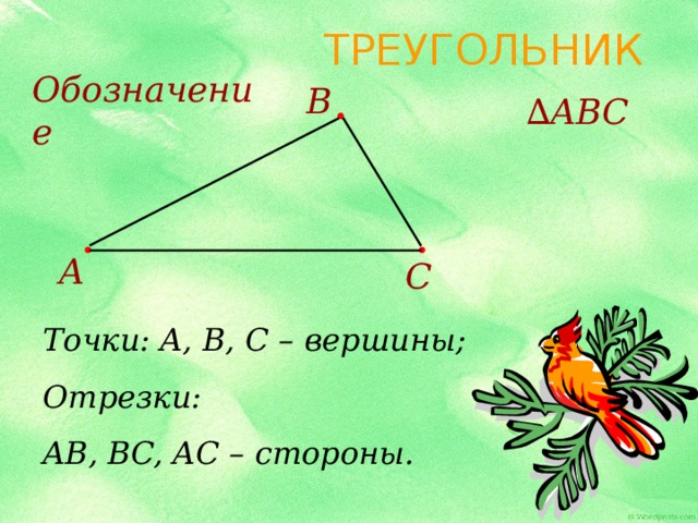 ТРЕУГОЛЬНИК Обозначение B ∆ ABC A C Точки: A, B, C – вершины; Отрезки: AB, BC, AC – стороны. 