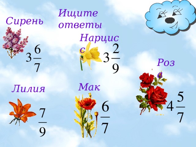 Ищите ответы Сирень Нарцисс Роза Мак Лилия 