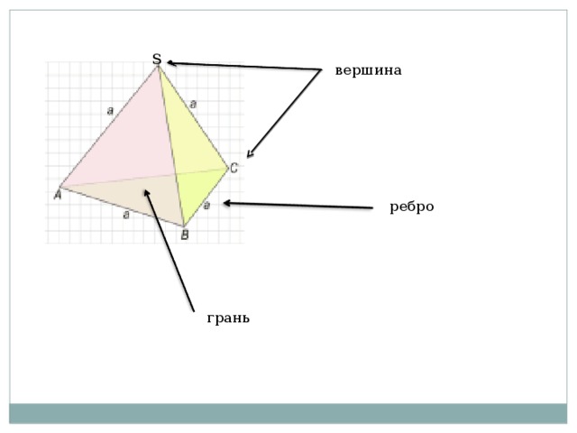 S вершина ребро грань 