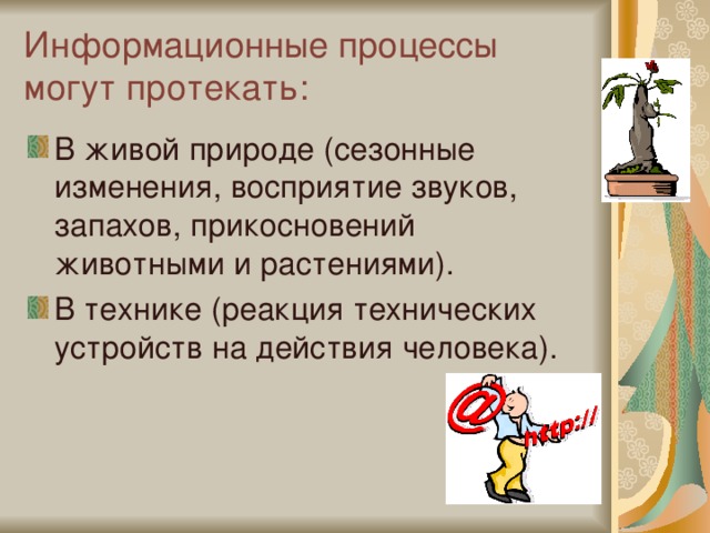 Информационные процессы могут протекать: В живой природе (сезонные изменения, восприятие звуков, запахов, прикосновений животными и растениями). В технике (реакция технических устройств на действия человека). 