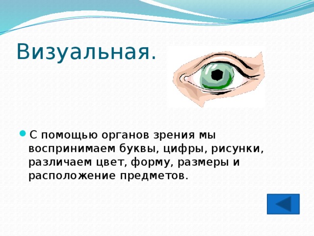 Визуальная. С помощью органов зрения мы воспринимаем буквы, цифры, рисунки, различаем цвет, форму, размеры и расположение предметов. 