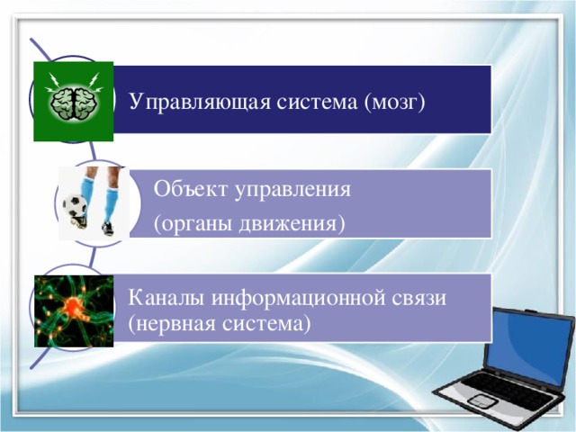 Канал информационной связи. Управляющая система («мозг»). Мозг управляющая система органы движения объект управления. Управляемый объект управляющий канал связи. Объекты подсистем мозга.