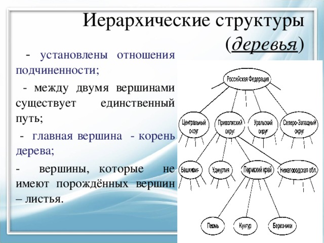 Вершина корень. Иерархическая структура дерево. Иерархическая структура лесов. Иерархическое дерево Информатика. Иерархическое дерево структурирование.