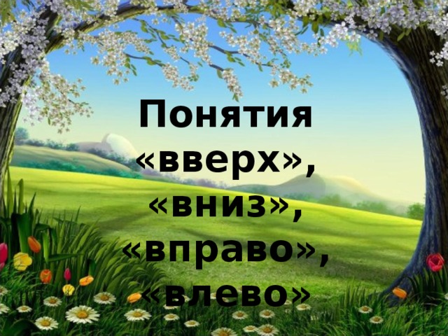 Понятия «вверх», «вниз», «вправо», «влево» 