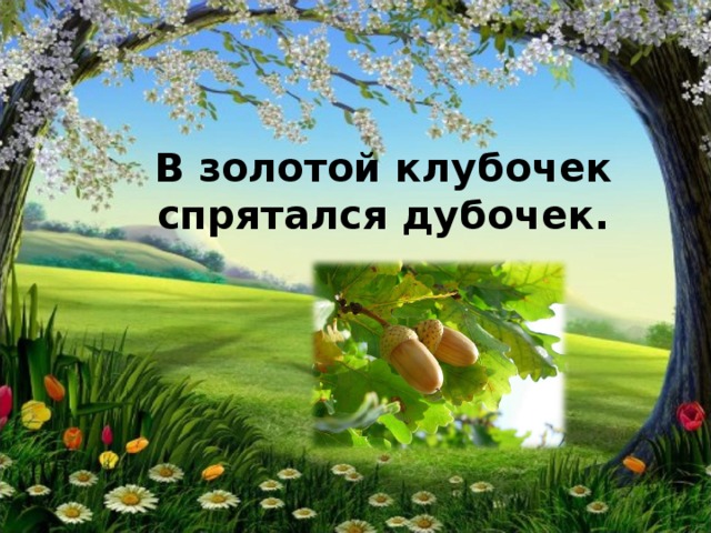 В золотой клубочек спрятался дубочек. 