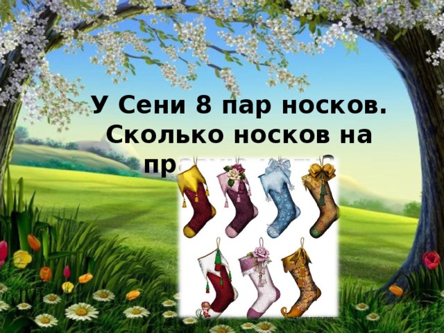 У Сени 8 пар носков. Сколько носков на правую ногу? 