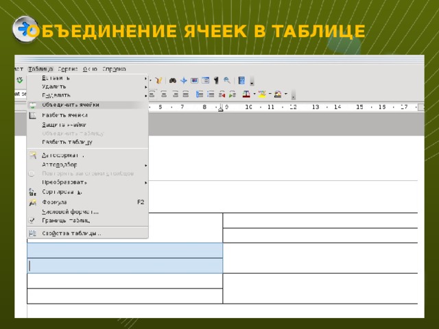 ОБЪЕДИНЕНИЕ ЯЧЕЕК В ТАБЛИЦЕ 12 