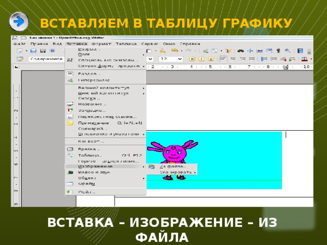 ВСТАВЛЯЕМ В ТАБЛИЦУ ГРАФИКУ ВСТАВКА – ИЗОБРАЖЕНИЕ – ИЗ ФАЙЛА 12 
