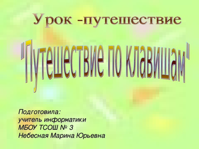 Подготовила: учитель информатики МБОУ ТСОШ № 3 Небесная Марина Юрьевна 