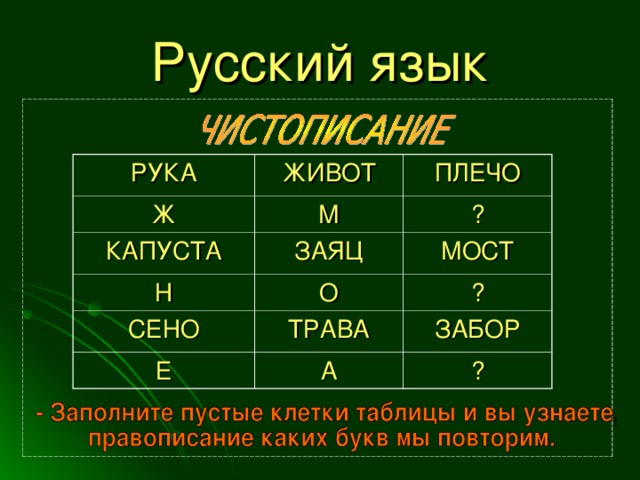 Русский язык РУКА ЖИВОТ Ж ПЛЕЧО М КАПУСТА ЗАЯЦ Н ? МОСТ О СЕНО ТРАВА ? Е ЗАБОР А ?