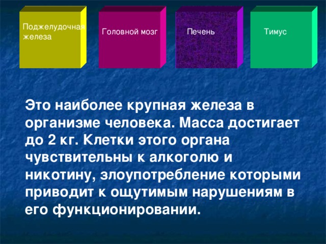 Поджелудочная железа Головной мозг Печень Тимус Это наиболее крупная железа в организме человека. Масса достигает до 2 кг. Клетки этого органа чувствительны к алкоголю и никотину, злоупотребление которыми приводит к ощутимым нарушениям в его функционировании.  