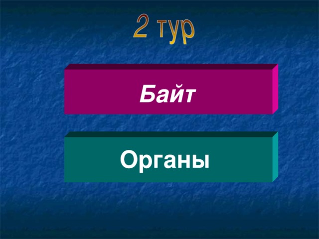 Байт Органы  