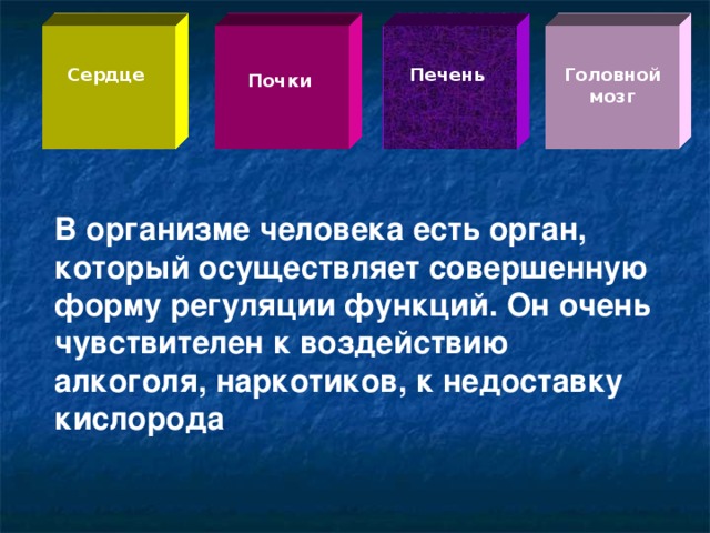 Сердце Печень Головной мозг Почки В организме человека есть орган, который осуществляет совершенную форму регуляции функций. Он очень чувствителен к воздействию алкоголя, наркотиков, к недоставку кислорода  