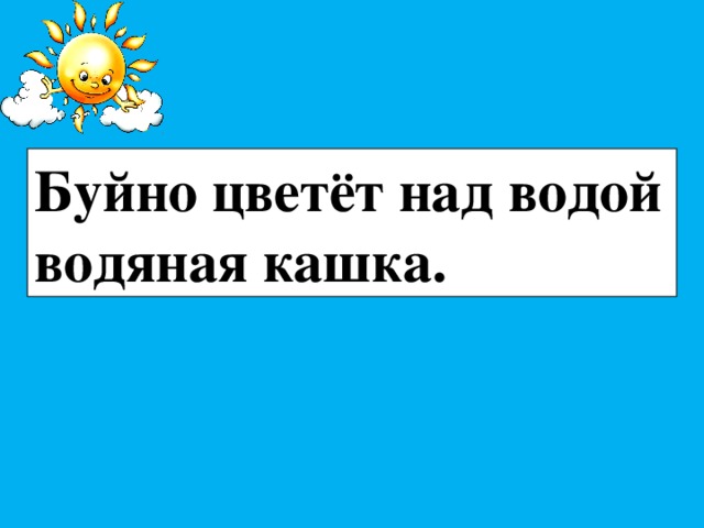 Буйно цветёт над водой водяная кашка. 