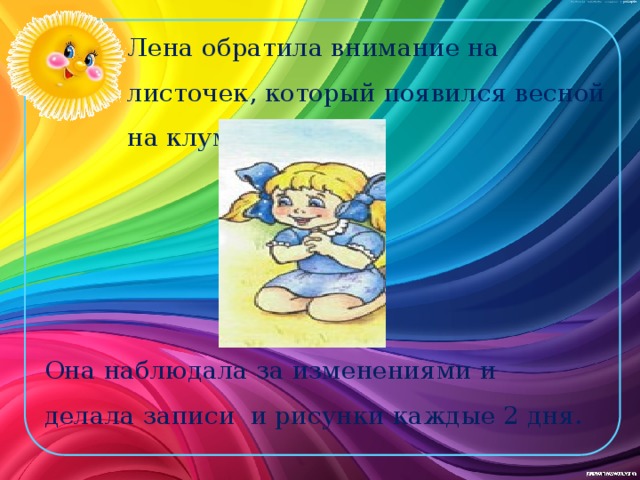 Лена обратила внимание на листочек, который появился весной на клумбе. Она наблюдала за изменениями и делала записи и рисунки каждые 2 дня. 