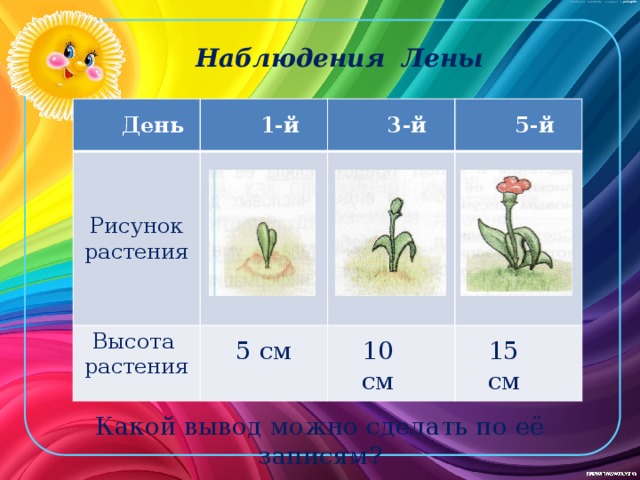 Наблюдения Лены День 1-й Рисунок растения 3-й Высота растения 5-й 5 см 10 см 15 см Какой вывод можно сделать по её записям? 