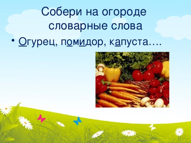 Собери на огороде  словарные слова О гурец, п о м и дор, к а пуста…. 