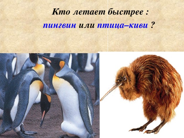 Конкурс смекалистых 1.На окошке сидит кошка. Пришел хозяин с собакой. Сколько всего ног в комнате? 1.На окошке сидит кошка. Пришел хозяин с собакой. Сколько всего ног в комнате? 1.На окошке сидит кошка. Пришел хозяин с собакой. Сколько всего ног в комнате? 1.На окошке сидит кошка. Пришел хозяин с собакой. Сколько всего ног в комнате? 1.На окошке сидит кошка. Пришел хозяин с собакой. Сколько всего ног в комнате? 10. Лысеющий на ветру цветок .  Назовите продукт , пять пудов которого просил слон у Корнея Чуковского. 11 . Лиственное дерево, листья которого дрожат от ветра.  Летели 3 страуса. Охотник одного убил. Сколько осталось?   Дерево – символ нашей Родины.  Какие грибы ест ёж? Трава, которую знают и слепые. Что птицам зимой страшнее: холод или голод?   Какая ягода бывает черной, красной, белой?   Какой зверь стоит всю зиму вниз головой?  