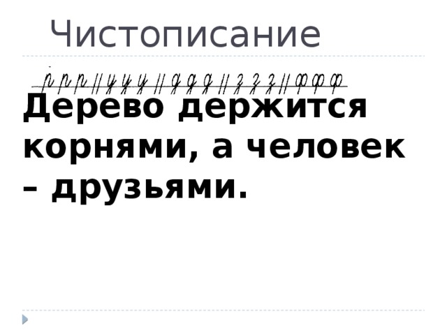   Чистописание Дерево держится корнями, а человек – друзьями. 