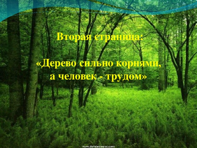  Вторая страница:   «Дерево сильно корнями, а человек - трудом» 