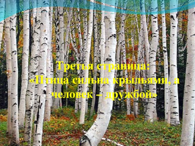 Третья страница: «Птица сильна крыльями, а человек – дружбой» 